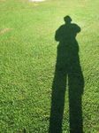 14349 Shadow on the grass.jpg